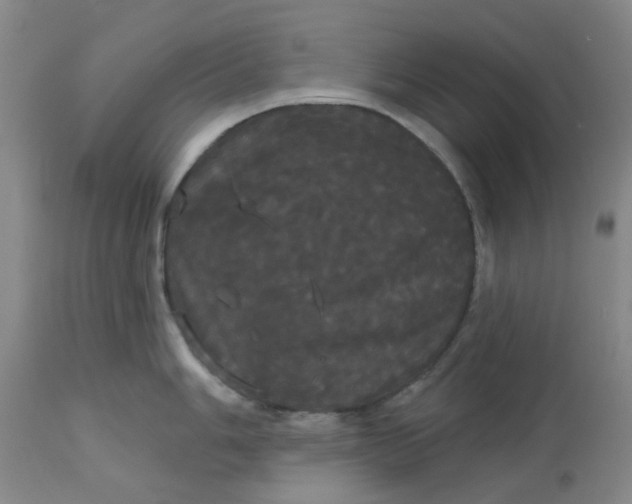 X0000113081006200909110959