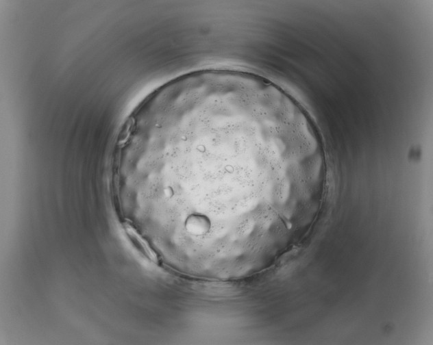 X0000113081007200909110959