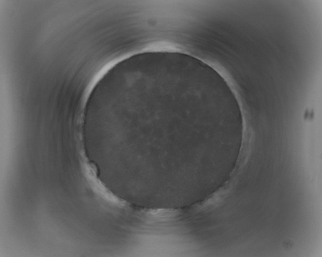 X0000113081008200909110959