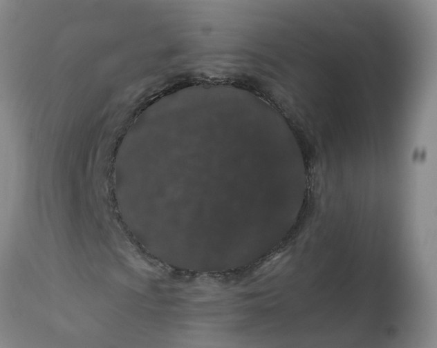 X0000113081009200909110958