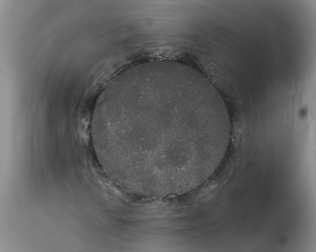 X0000113081010200909110958