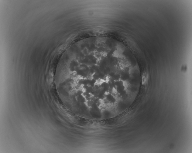 X0000113081011200909110958