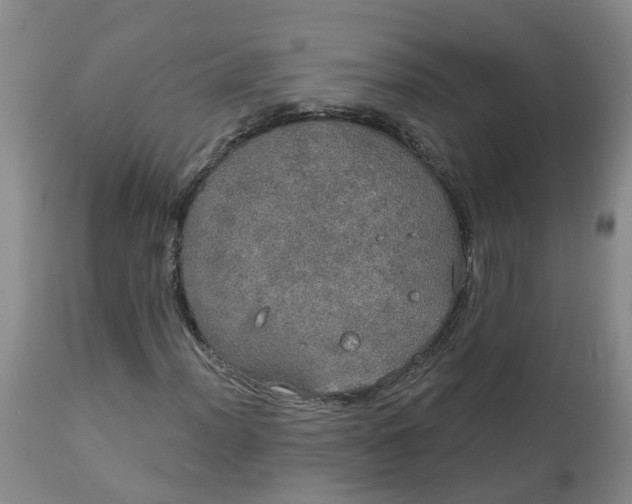 X0000113081012200909110958