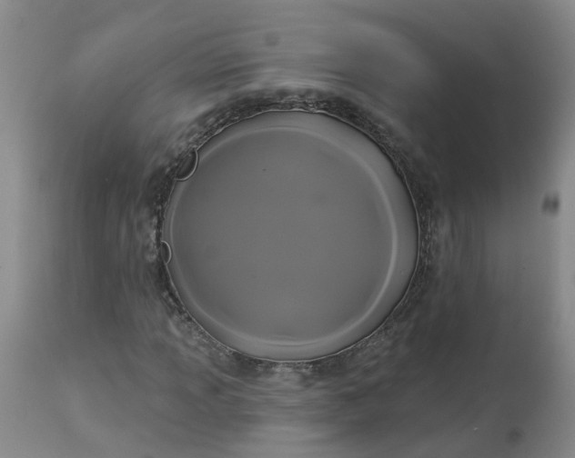 X0000113081013200909110958