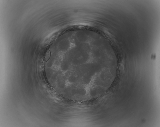 X0000113081014200909110958