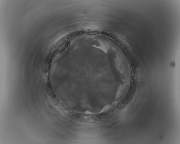 X0000113081015200909110958