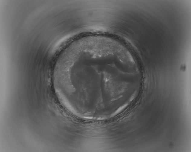 X0000113081016200909110958