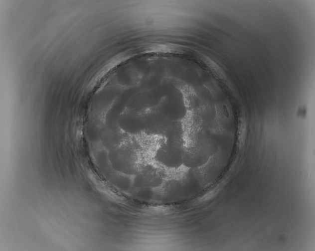 X0000113081017200909110958