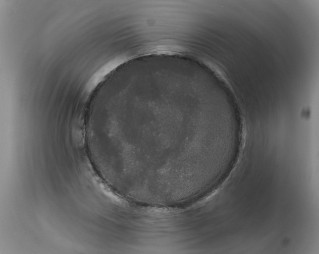 X0000113081018200909110958