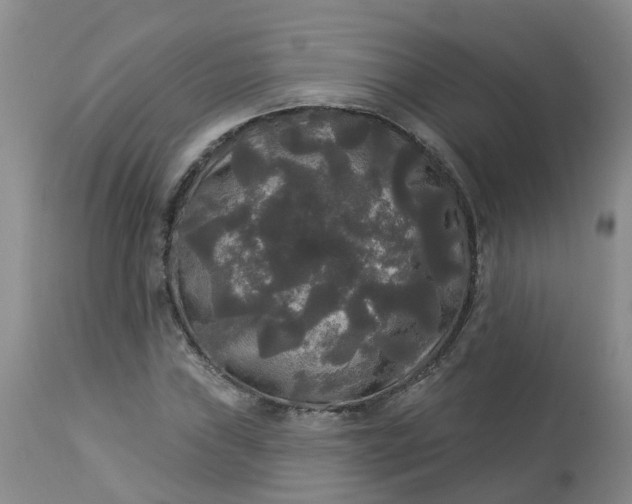 X0000113081019200909110958