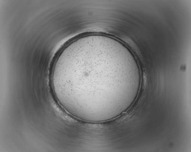 X0000113081020200909110958