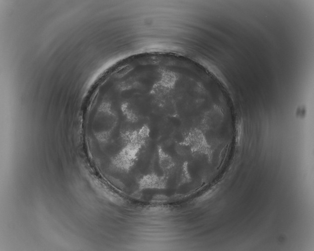 X0000113081021200909110958