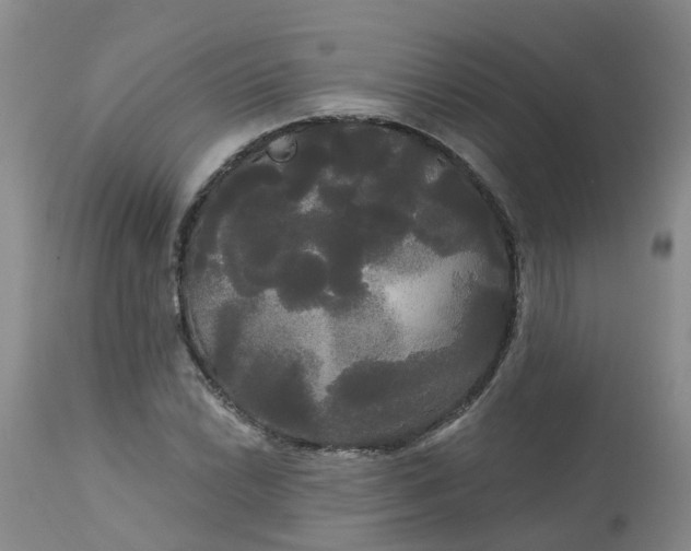 X0000113081022200909110958