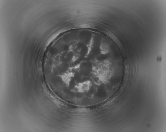 X0000113081023200909110958