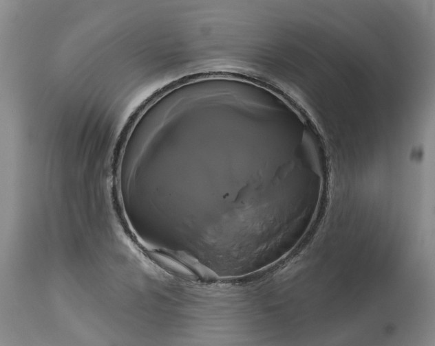 X0000113081024200909110958