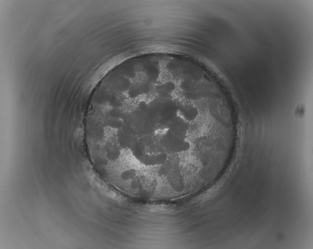 X0000113081025200909110958