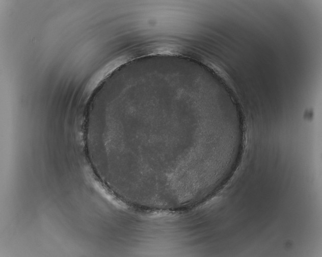 X0000113081026200909110958