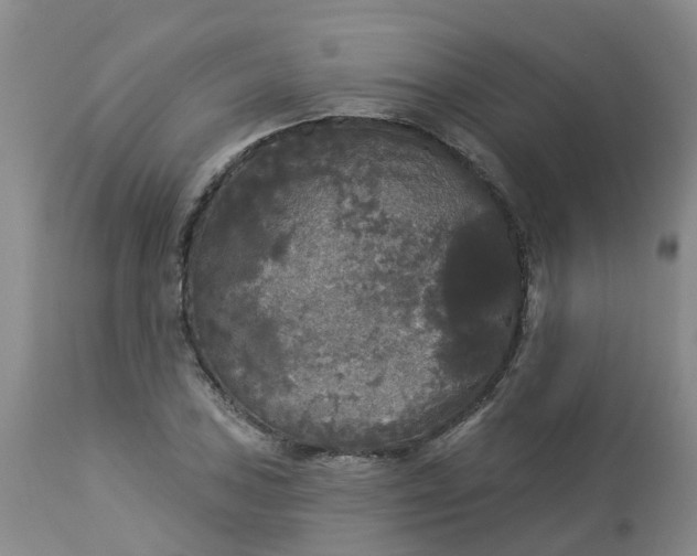 X0000113081027200909110958