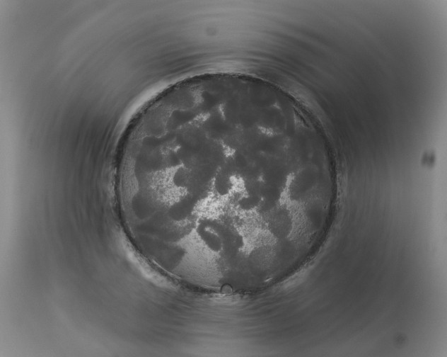 X0000113081029200909110958