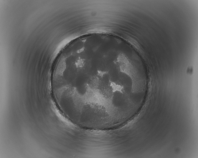 X0000113081030200909110958