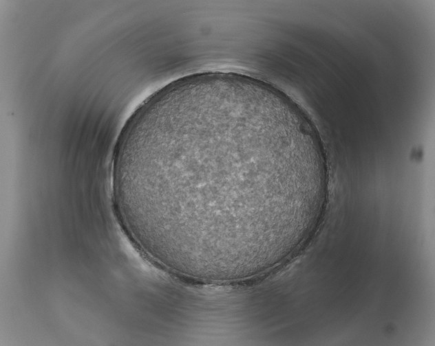 X0000113081032200909110958