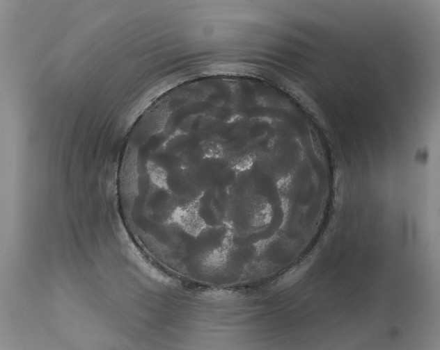 X0000113081033200909110958