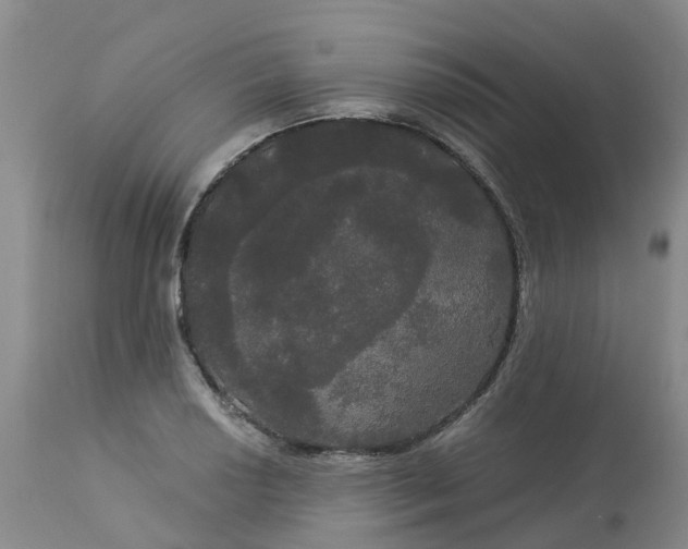 X0000113081034200909110958