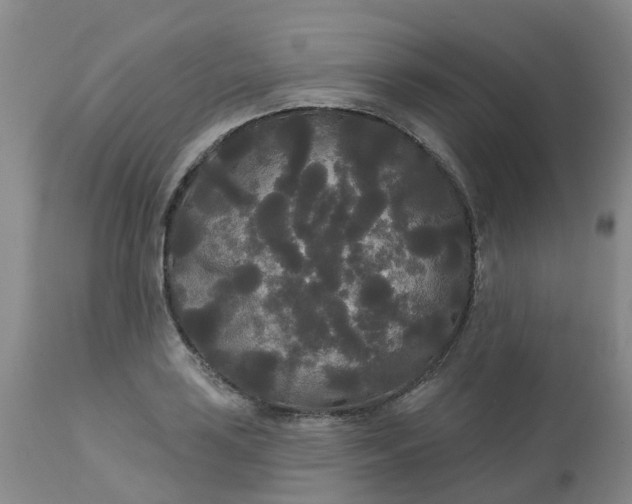 X0000113081035200909110958