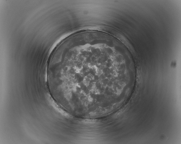 X0000113081036200909110958