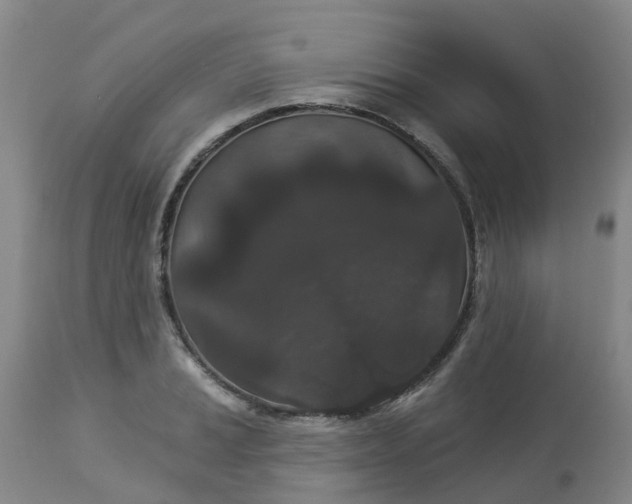 X0000113081037200909110959