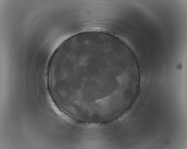 X0000113081038200909110959