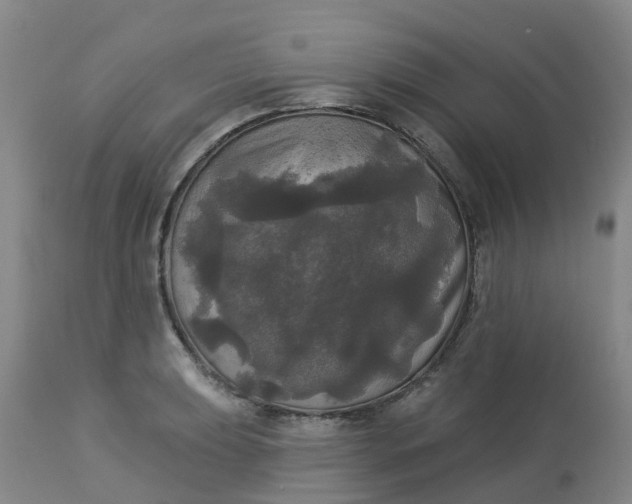 X0000113081039200909110959