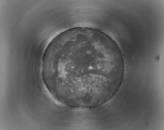 X0000113081040200909110959