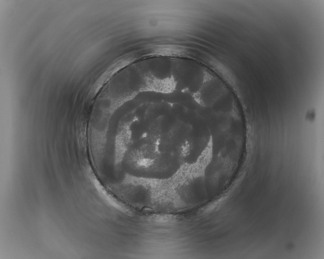 X0000113081041200909110959