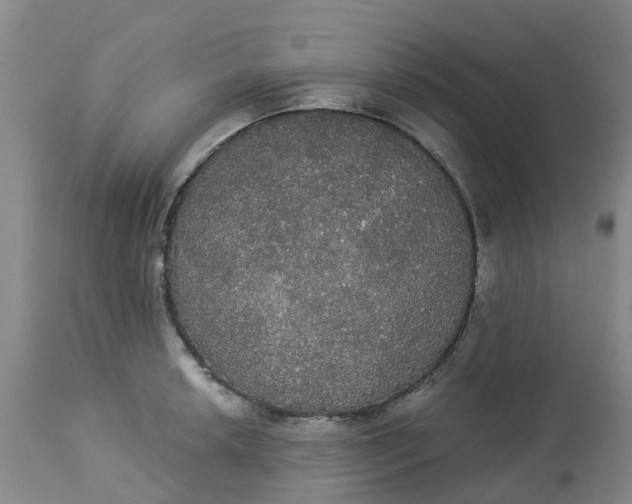 X0000113081042200909110959