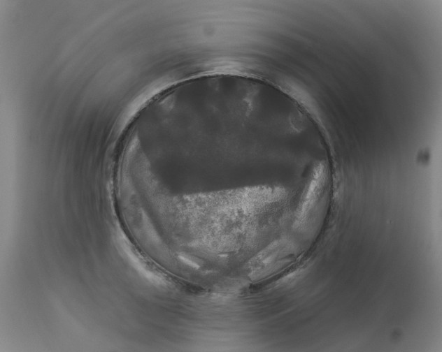 X0000113081043200909110959