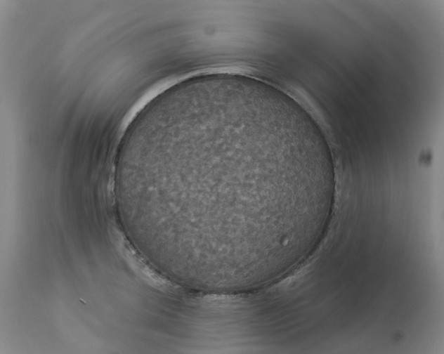 X0000113081044200909110959