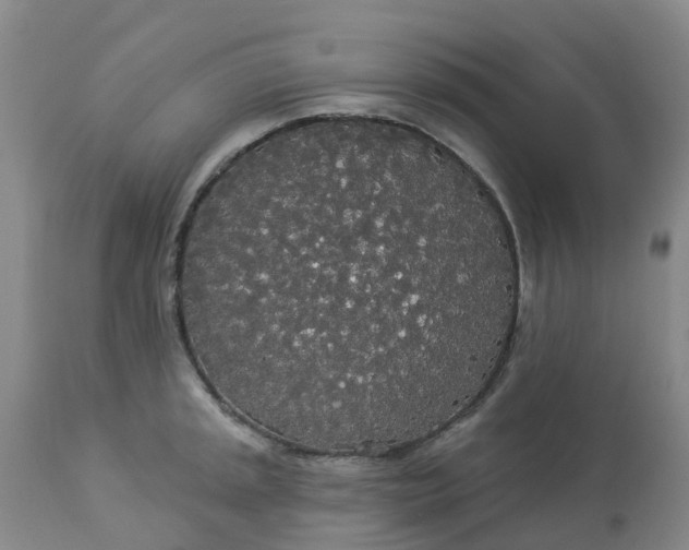 X0000113081045200909110959