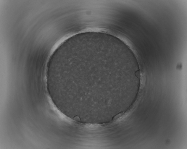 X0000113081046200909110959