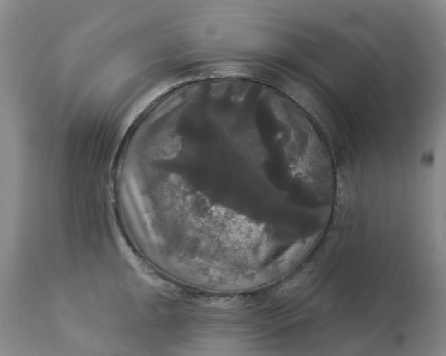 X0000113081047200909110959