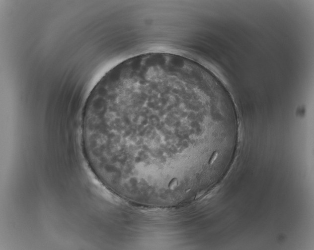 X0000113081048200909110959