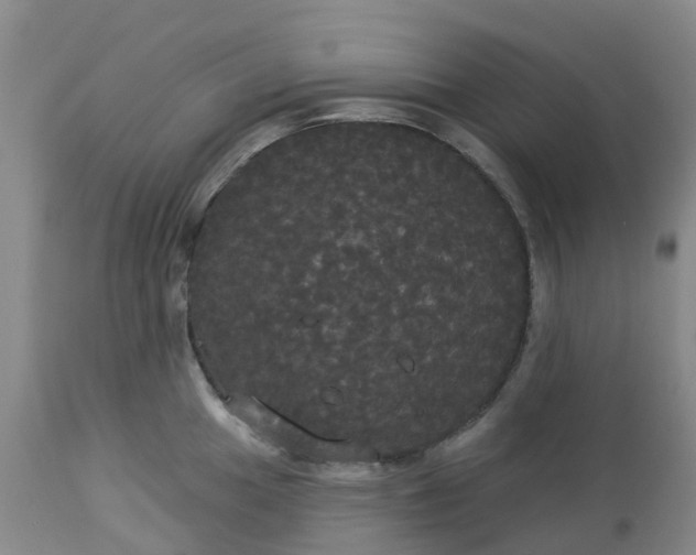 X0000113081049200909110959