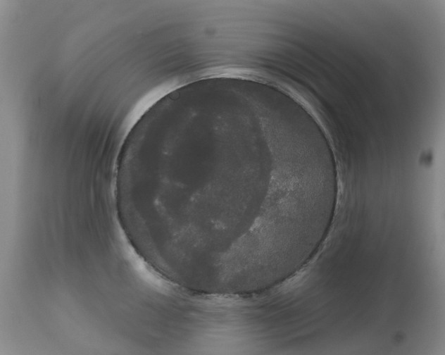 X0000113081050200909110959