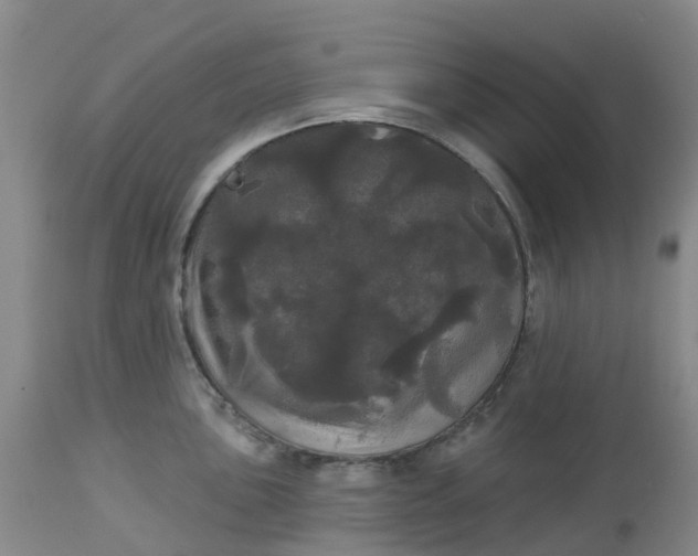 X0000113081051200909110959