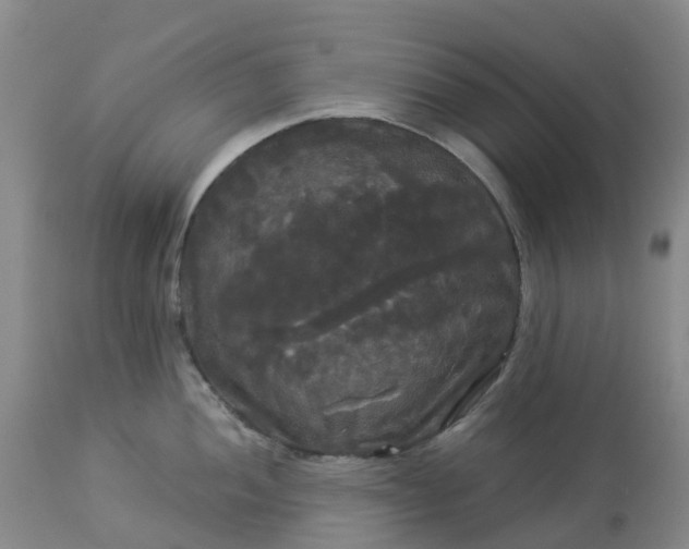 X0000113081052200909110959