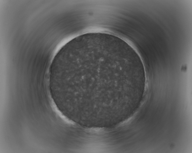 X0000113081053200909110959