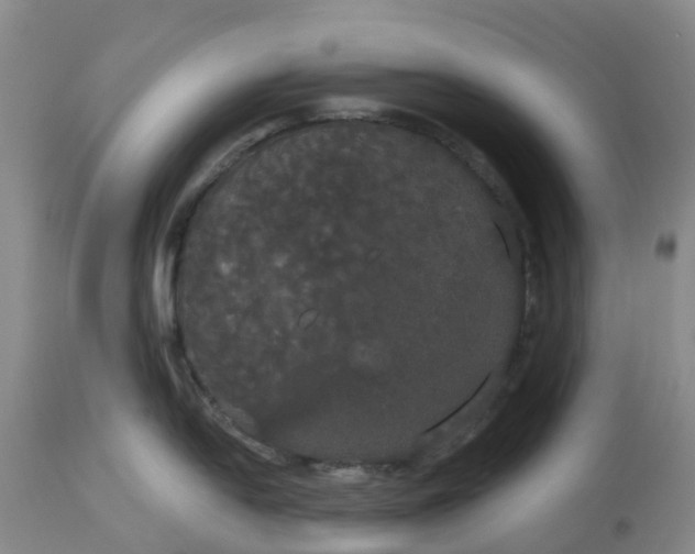 X0000113081054200909110959