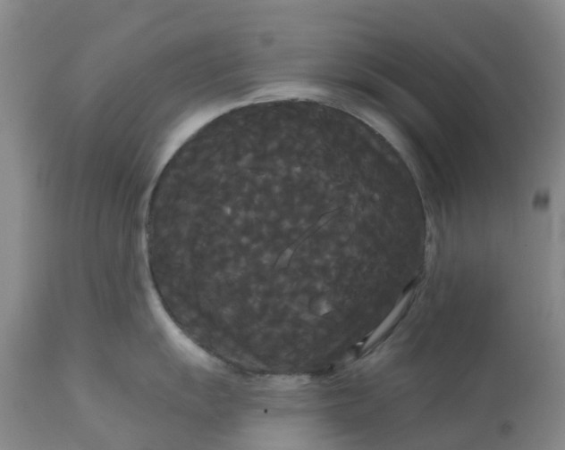 X0000113081055200909110959