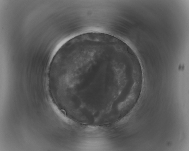 X0000113081056200909110959