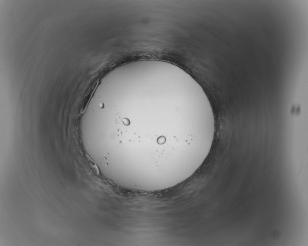 X0000113081057200909110958